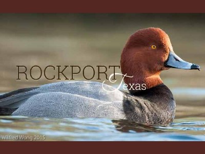 Rockport - Blast & Cast