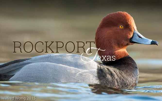 Rockport - Blast & Cast