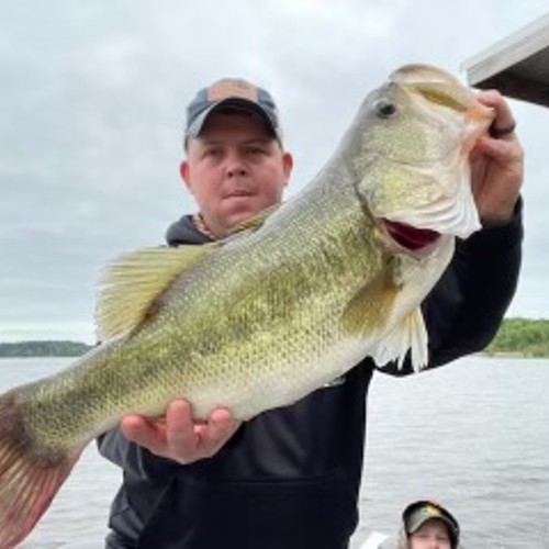 Douglascook - Blast & Cast